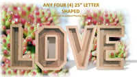 Image 1 of Vertical Succulent Planter Box Any Four Large Letters Numbers