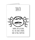 Dad Spider