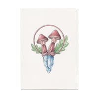 Image 1 of Blue Topaz Mushrooms