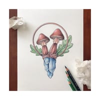 Image 2 of Blue Topaz Mushrooms