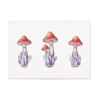 Image 1 of Amethyst Mushrooms