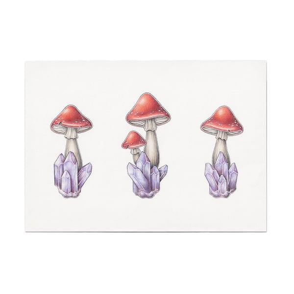 Image of Amethyst Mushrooms