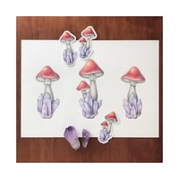 Image 2 of Amethyst Mushrooms