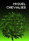 Miguel Chevalier - 2000/2008
