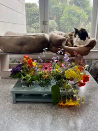 Image 14 of Cat-Safe Vase