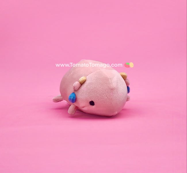 axolotl marshmallow