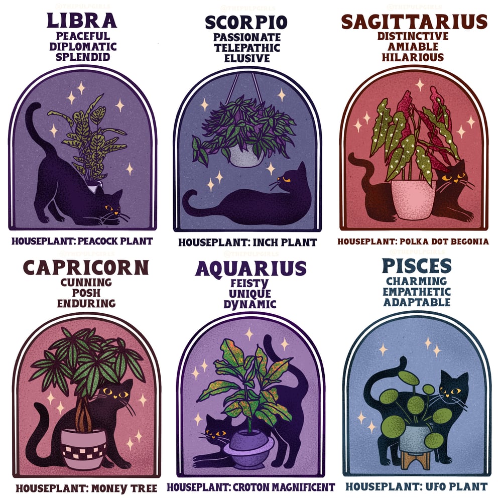 Image of CATSTROLOGY HOUSEPLANT TOTE