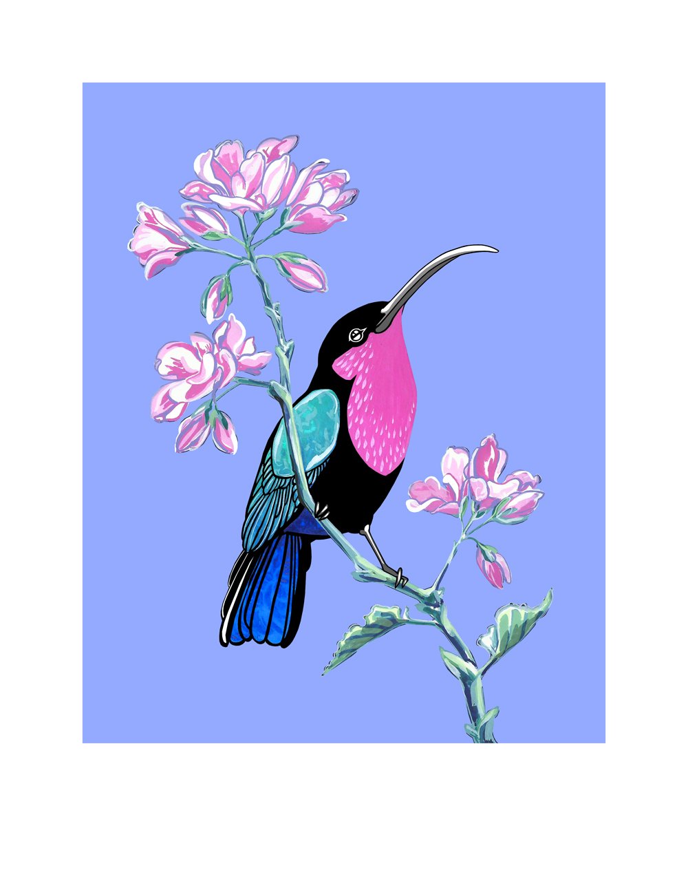 Image of Stamps: Purple Throated Carib and Geranium