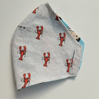 Image 1 of Reversible Mask Covers