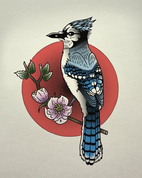 Image of Blue Jay full color 8x10