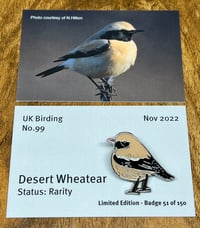 Image 1 of Desert Wheatear - No.99 - UK Birding Pins - Enamel Pin Badge