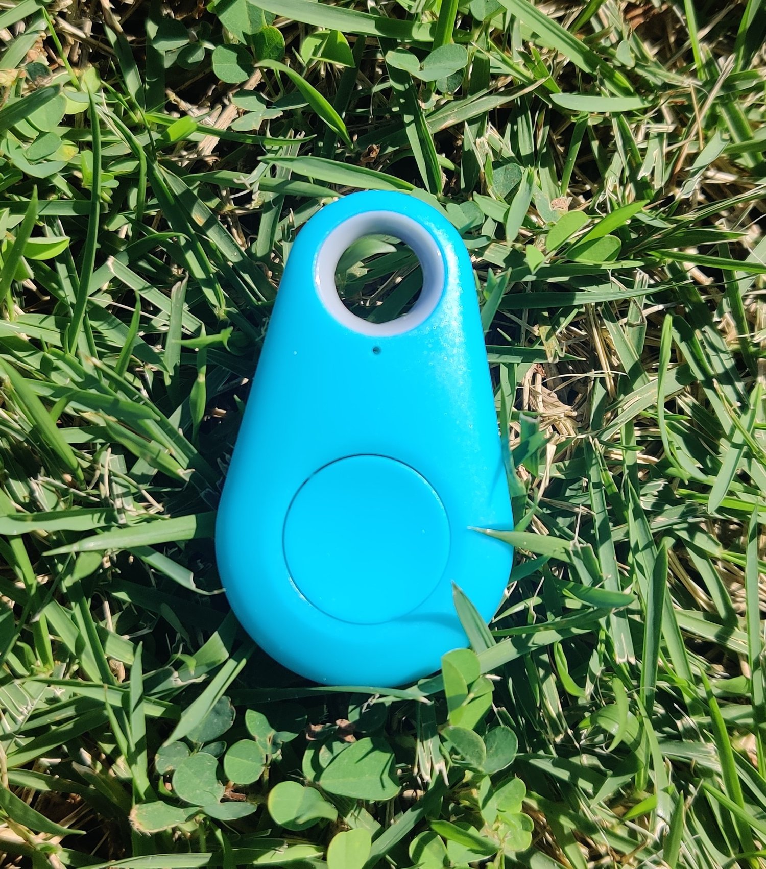 Image of Mini Pet Tracker (Blue)