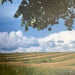 Image of (Walter Pfeiffer) (night and day)