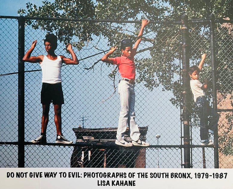 Image of (Lisa Kahane) (Do not give way to evil: Photographs of the south Bronx,1979-1987)