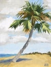 Palm Tree Study