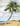 Palm Tree Study