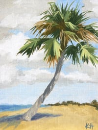 Palm Tree Study