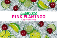 Image 4 of SUGAR FREE Cherry Limeade Flavor Packet - Pink Flamingo