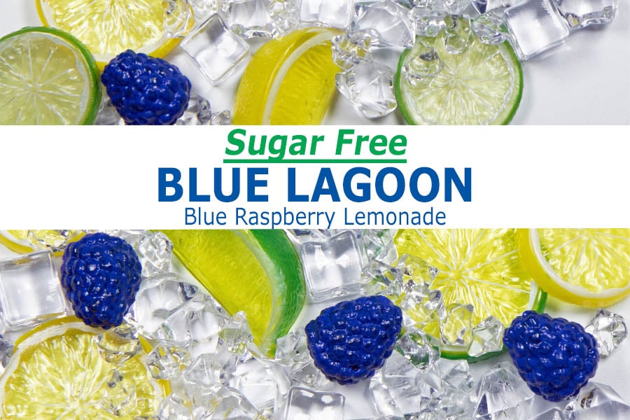 SUGAR FREE Blue Raspberry Lemonade Flavor Packet Blue Lagoon 2 Friends & A Blender
