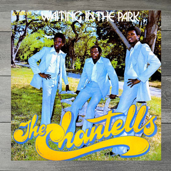 Image of The Chantells - Waiting In The Park Vinyl LP