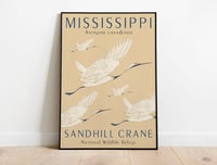 Image 1 of Mississippi Sandhill Crane - Poster Print
