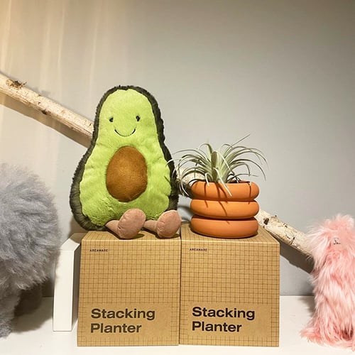 Image of Amuseable Avocado