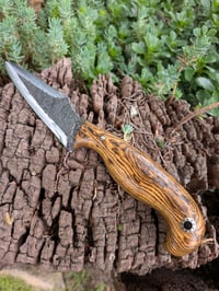 Image 2 of BOCOTE FIGHTER