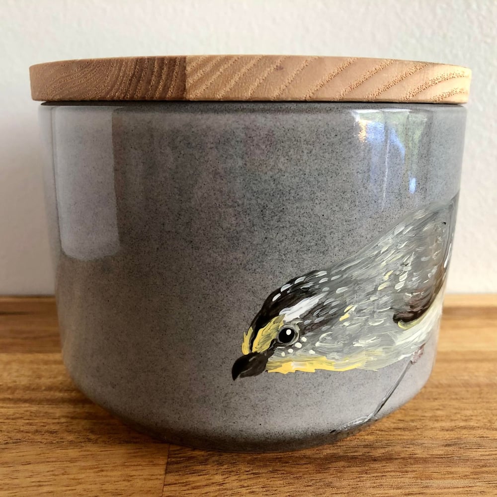Striated Pardalote Canister 
