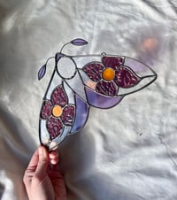 Image 4 of Violet Wildflower Moth 