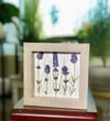 Genuine Lavender And Blue Fescue Grass Wildflower Art In 6" X 6" Shadow Box (Item# 202204S)