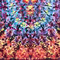 Image 3 of 4XL  Bright Kenneystyle 