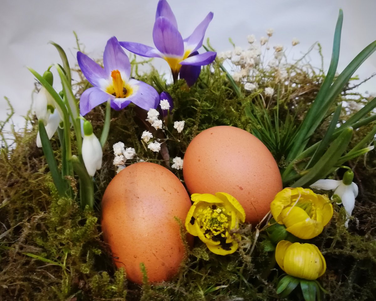 Image of Easter Wreath Making Workshop