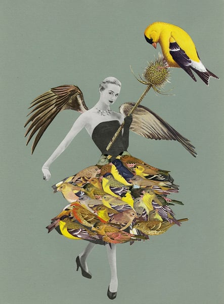 Image of Ms. Finch. Limited edition collage print.