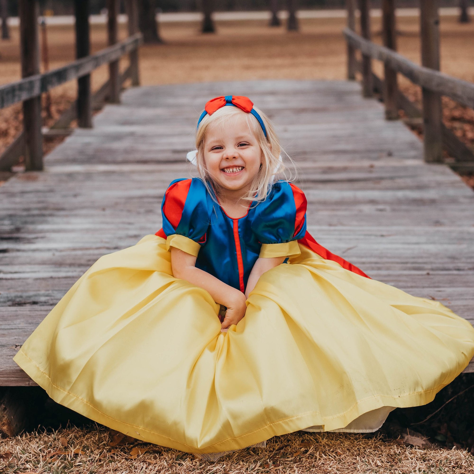 Princess Dress | Kids Korner Toys Princess Dress | Kids Korner Toys