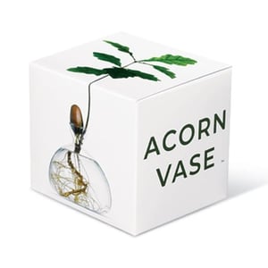 Image of Acorn Vase