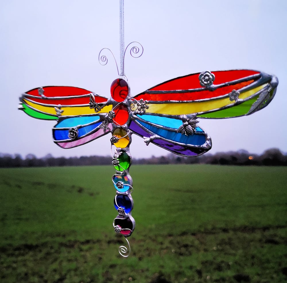 Image of Rainbow Dragonfly 