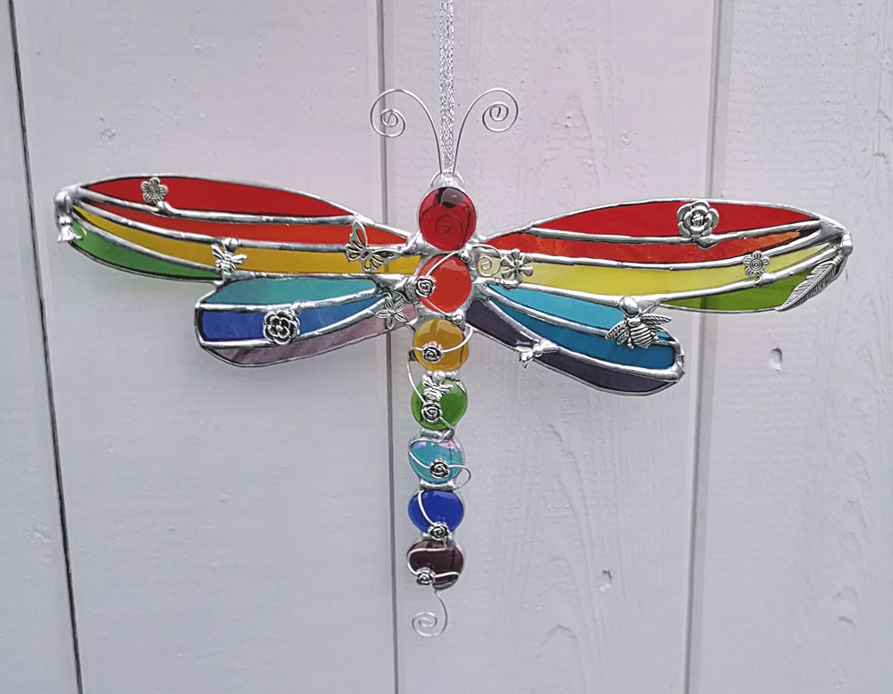 Image of Rainbow Dragonfly 