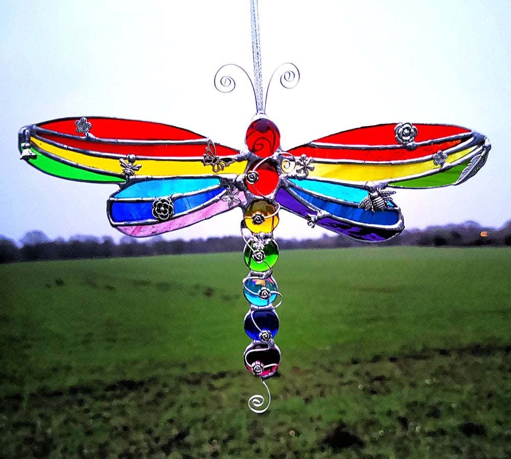 Image of Rainbow Dragonfly 