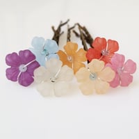Rainbow Daisies