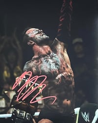 Image 1 of WWE Finn Balor autographed 8x10 photo