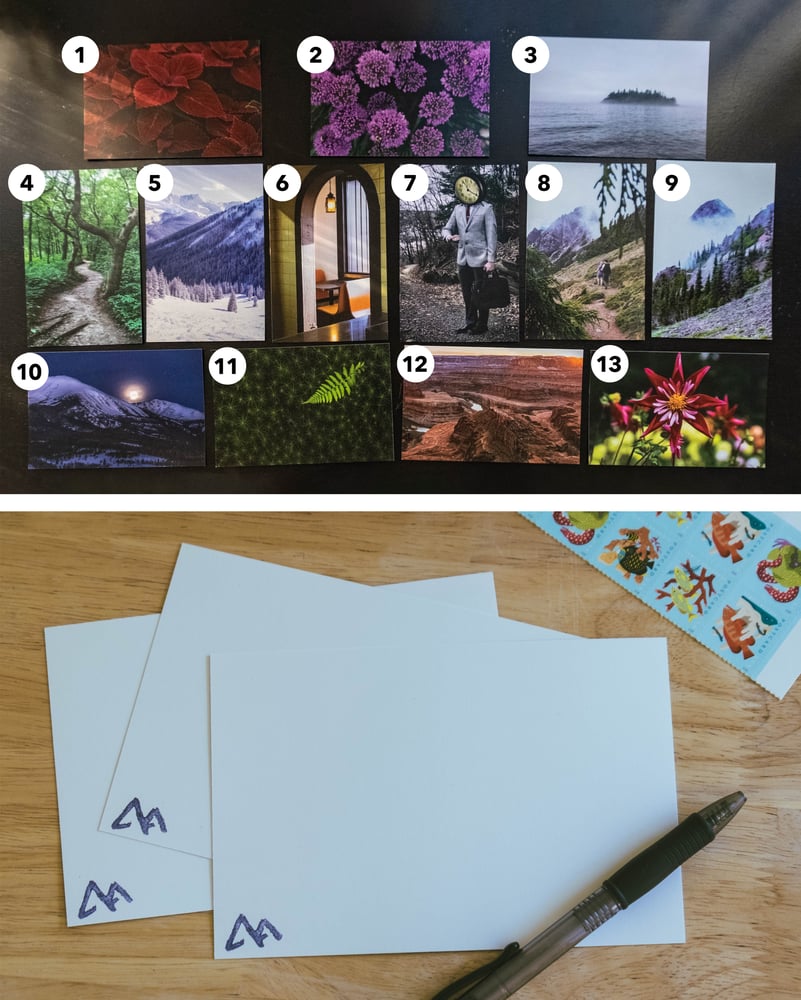 Image of 4 x 6in Individual Postcard Prints