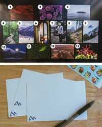 4 x 6in Individual Postcard Prints