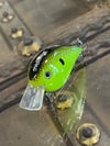Chartreuse Squarebill