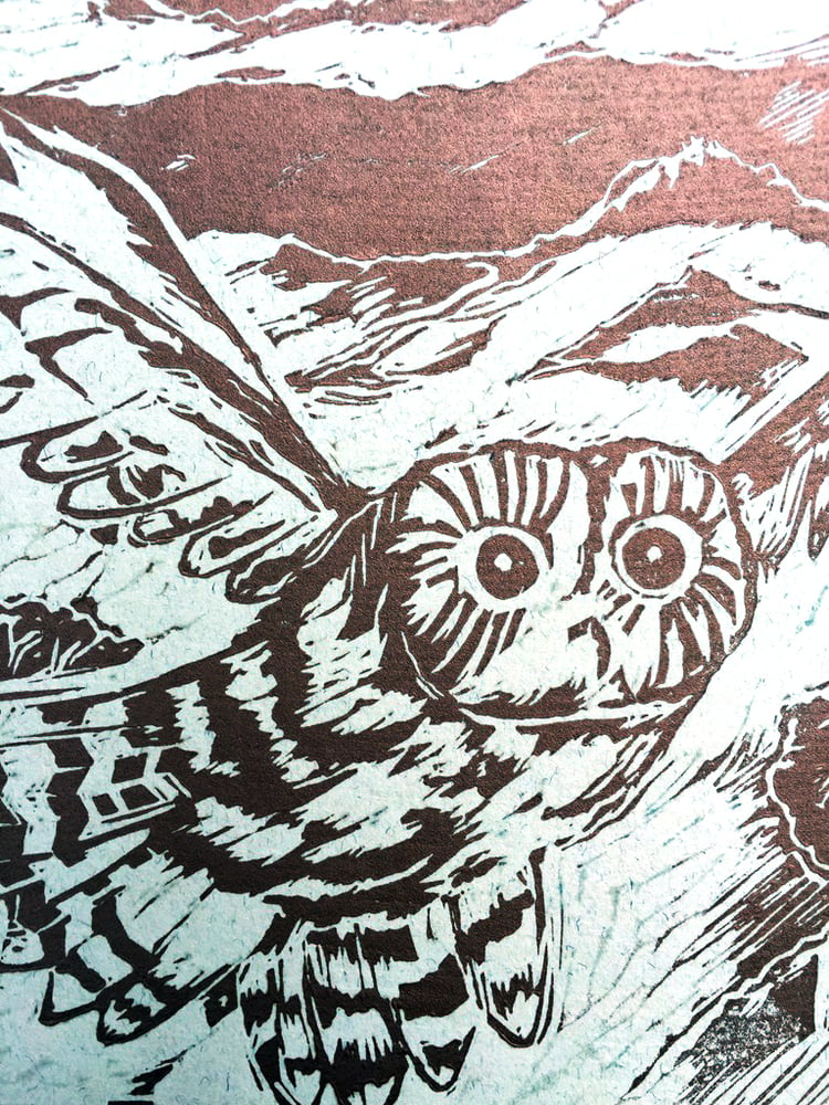 Image of NEW PRINT—Night Owl