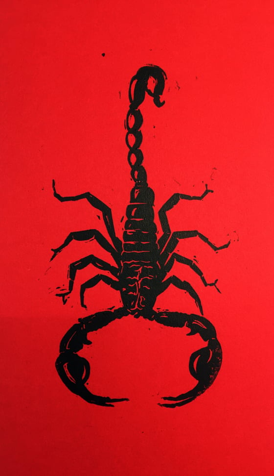 Image of NEW PRINT—House Scorpion