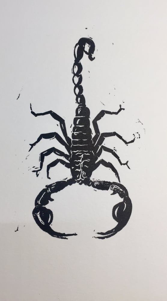 Image of NEW PRINT—House Scorpion