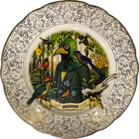 Image 1 of Birdman - Vintage Porcelain Plate - UNIQUE PIECE - #0722