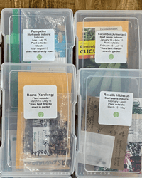 Image 4 of Vegetable, Herb & Fruit Seed Box Planting Date Labels