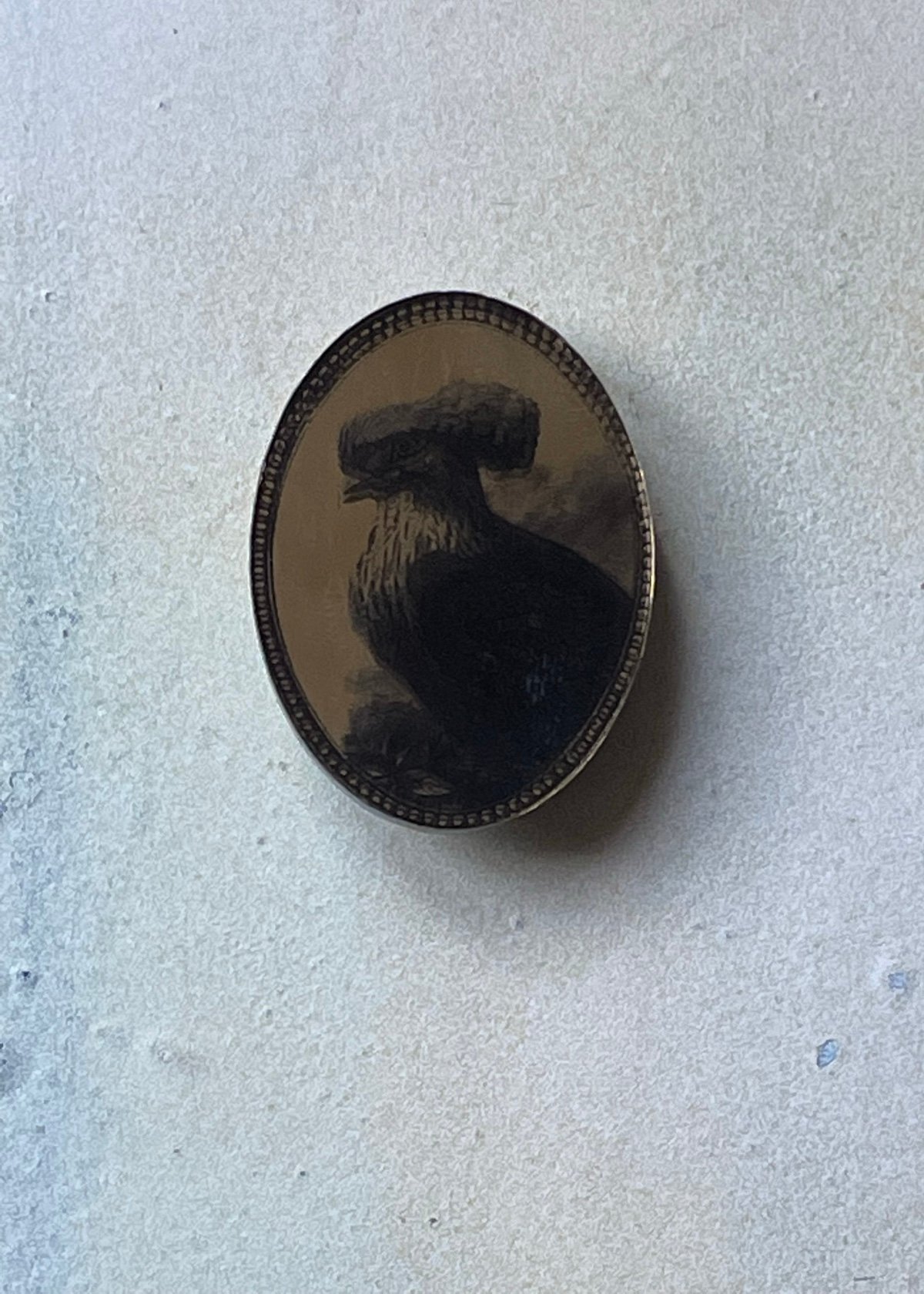 Image of Top Knot Pigeon Brooch 