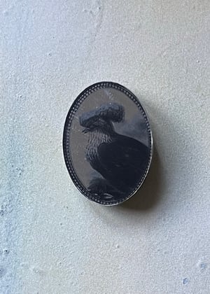 Image of Top Knot Pigeon Brooch 